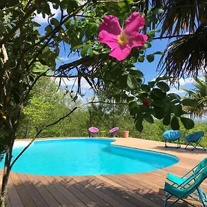 https://le-triangle-dor.midi-pyreneeshotels.com